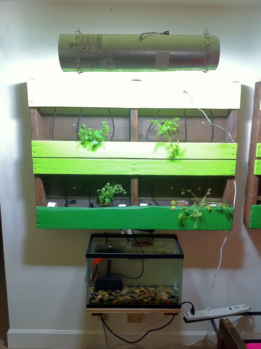 Aquaponic CFL Grow Light